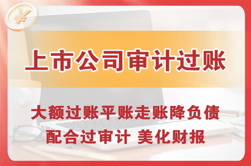 武冈上市公司审计过账